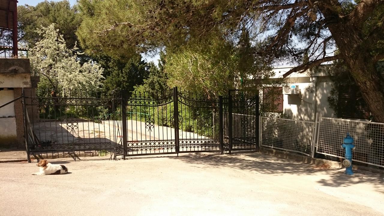 Bg Apartman Sutomore